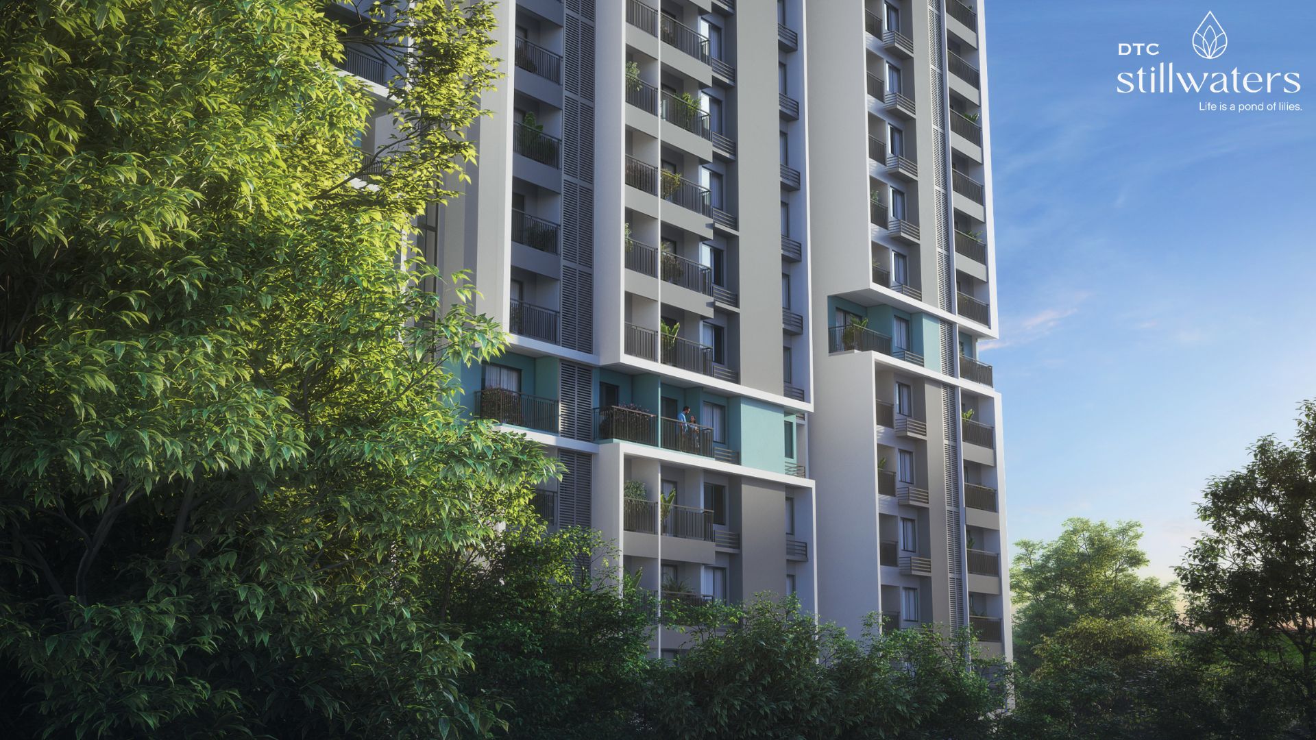 dtc still waters kolkata